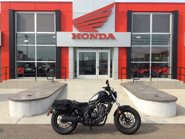 2025 Honda REBEL 300 W/HONDA SADDLEBAGS AND REAR SOLO CARRIER